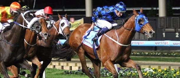 Buffering won the 2013 edition of the Manikato Stakes.