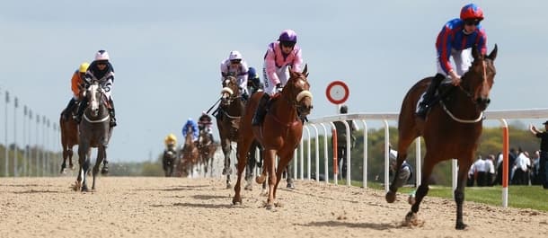 Showdaisy bids for a hat-trick on the Newcastle all-weather track this afternoon.