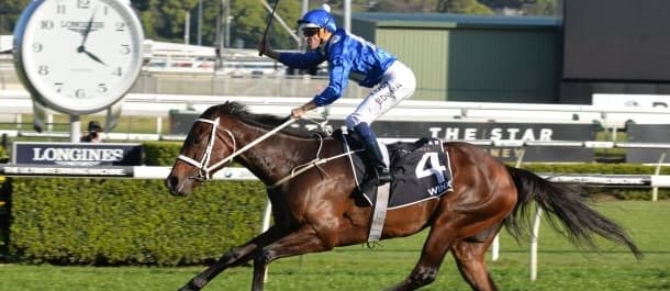 Winx has won 13 consecutive races.