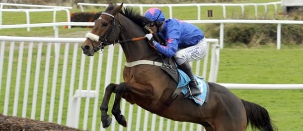 Cue Card returns for another shot at Gold Cup glory.