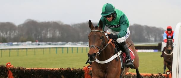 Top Notch could be the answer to the 2017 JLT Novices' Chase