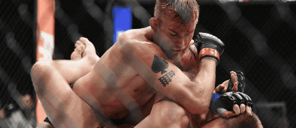 Alexander Gustafsson ground and pound