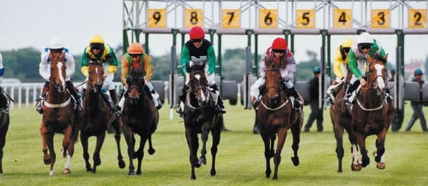 Blind faith is a value bet at Yarmouth on Wednesday.