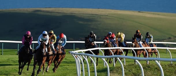 Tuesday's tips feature a well-fancied runner at Brighton.