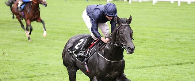 Caravaggio leads the market in the Commonwealth Cup.