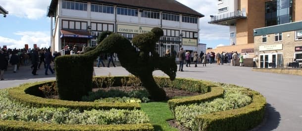 Tuesday's racing includes action from Fontwell racecourse.