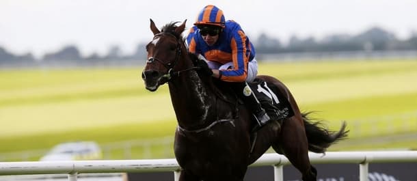 A P O'Brien has a strong chance with Order of St George in the Gold Cup.