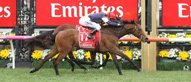 Almandin has a strong chance of taking a second Melbourne Cup in a row.