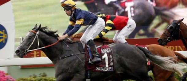 The world's richest turf race, the Everest, is just a week away.