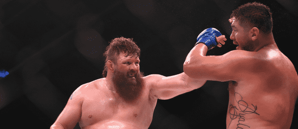 Roy Nelson punches Javy Ayala at Bellator 183