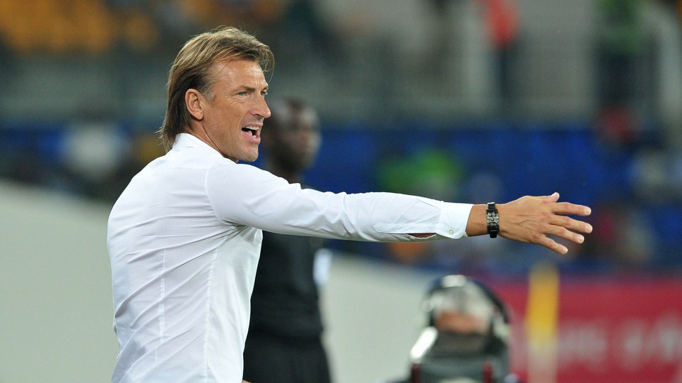 Herve Renard, coach of Morocco