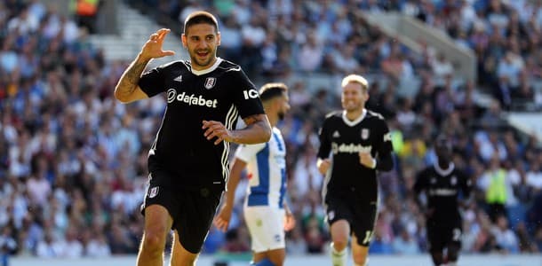 Mitrovic has led the line for Fulham in the Premier League this season.