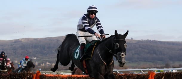 Will Al Dancer perform at Cheltenham?