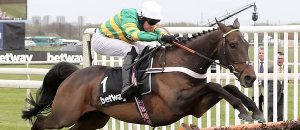 Will Buveur D'Air win again?
