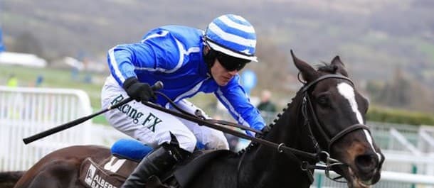 Penhill has Cheltenham credentials