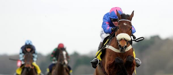 Cue Card made a breakthrough in 2010