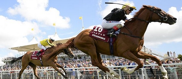 Stradivarius is going for his second Ascot Gold Cup