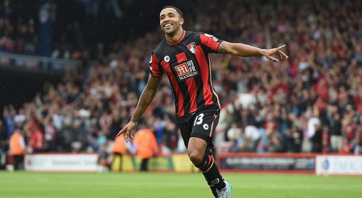 Calum Wilson Bournemouth celebrating