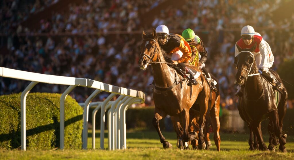 Horses navigating a bend during a race