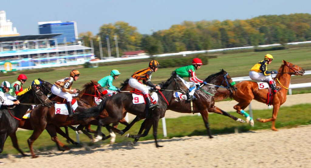 Racehorses galloping