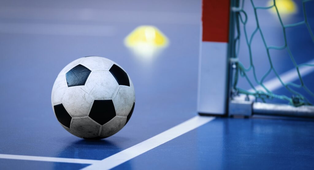 Futsal ball beside net