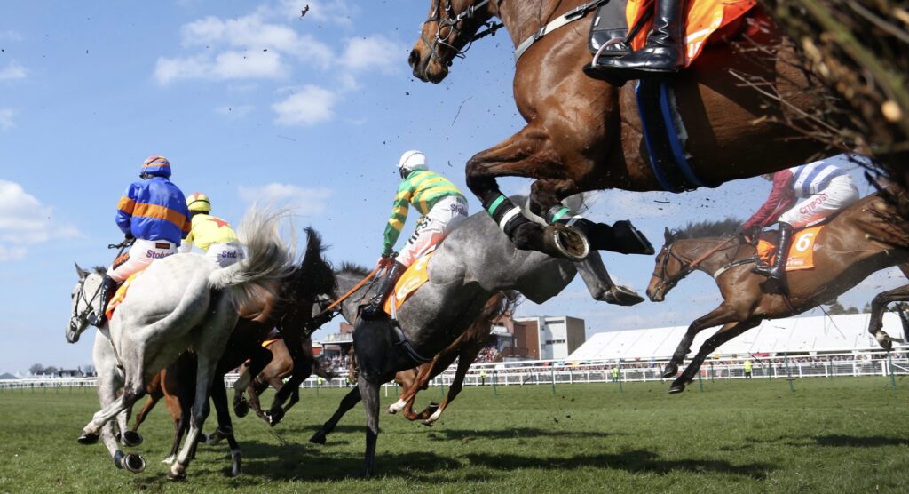 Racehorses landing after jumping fence