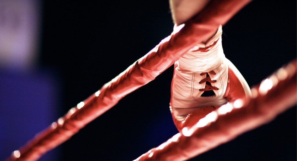 A boxer's glove visible through two ropes