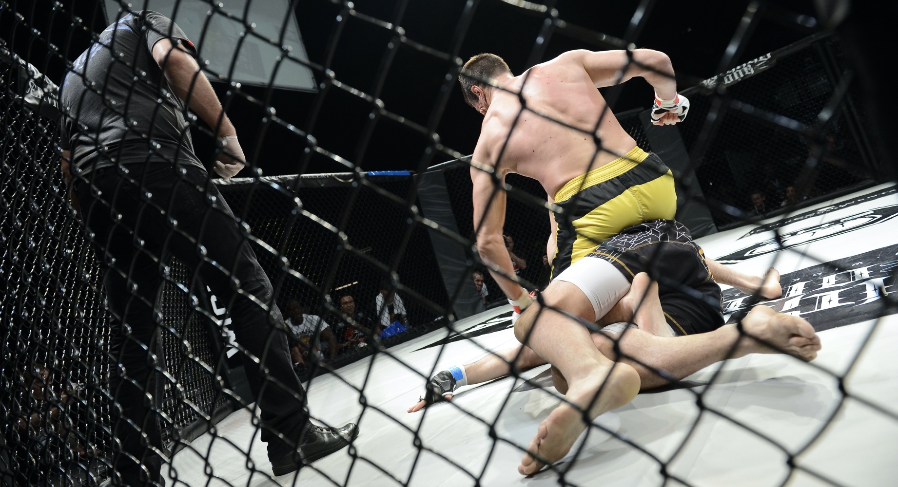 MMA fight MMA fight