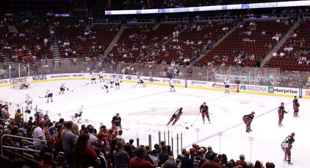 Players warming up before ice hockey match begins