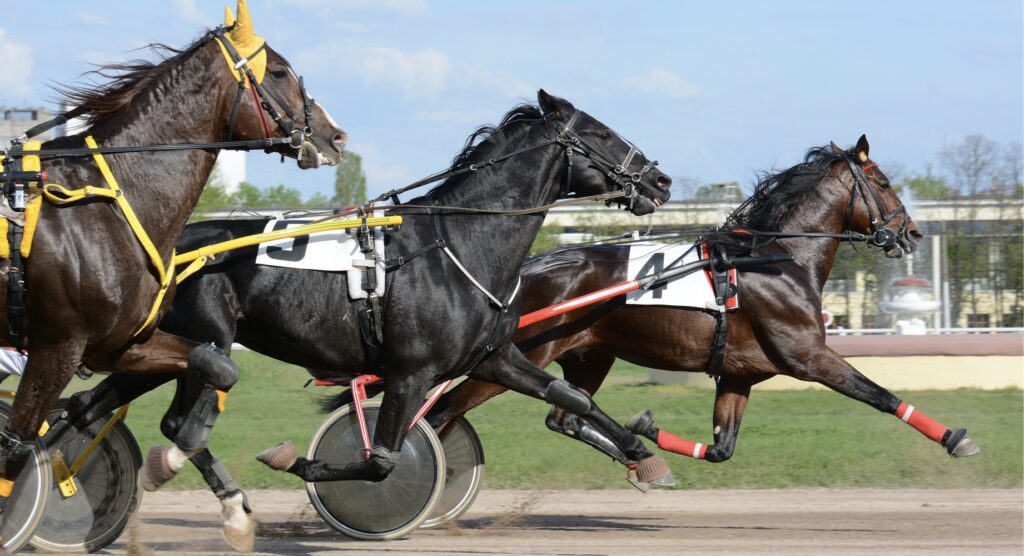 Horses galloping during trotting race