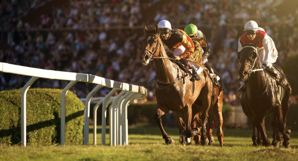 Two jockeys guiding their horses towards finish line.