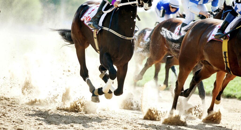 Thoroughbreds racing on a dirt track.
