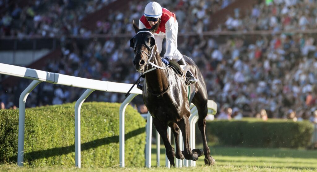 Jockey and his horse racing towards the finish line.