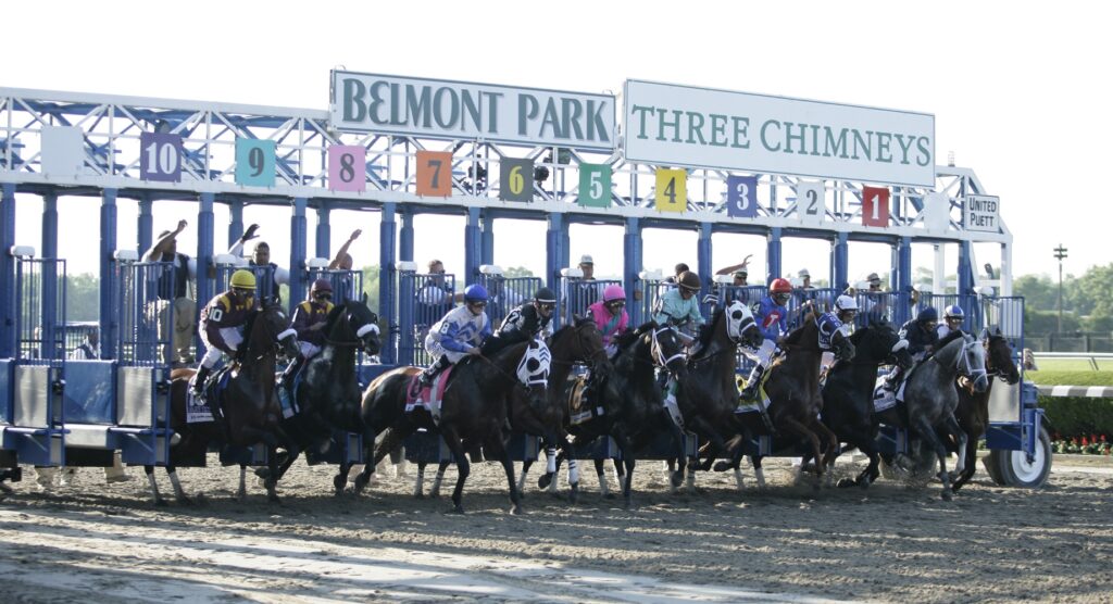 Horses bolting from starting gate at Belmont Park