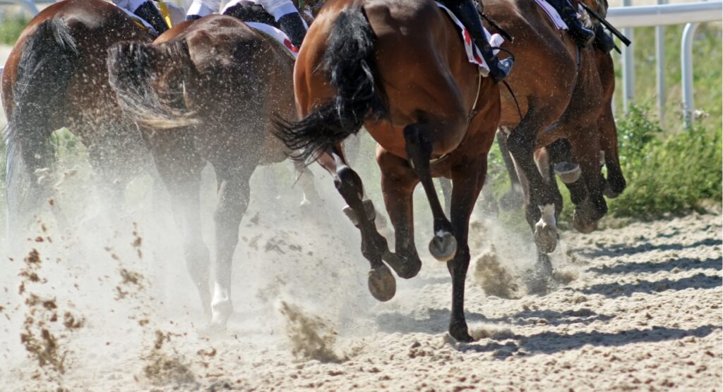 Rear view of horses racing on dirt track