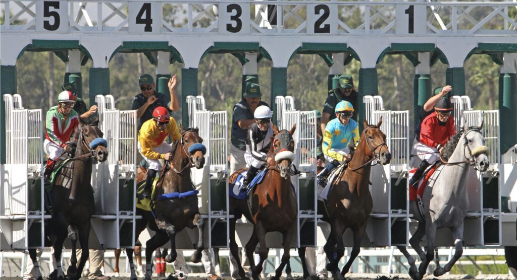 Horses bolting from starting gate during Breeders' Cup