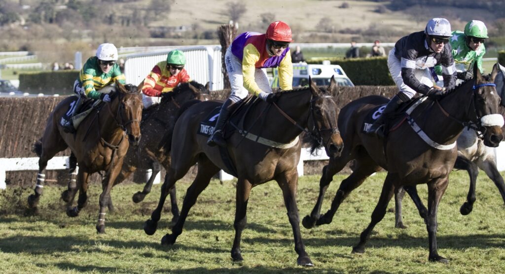 Horses racing during Cheltenham Festival