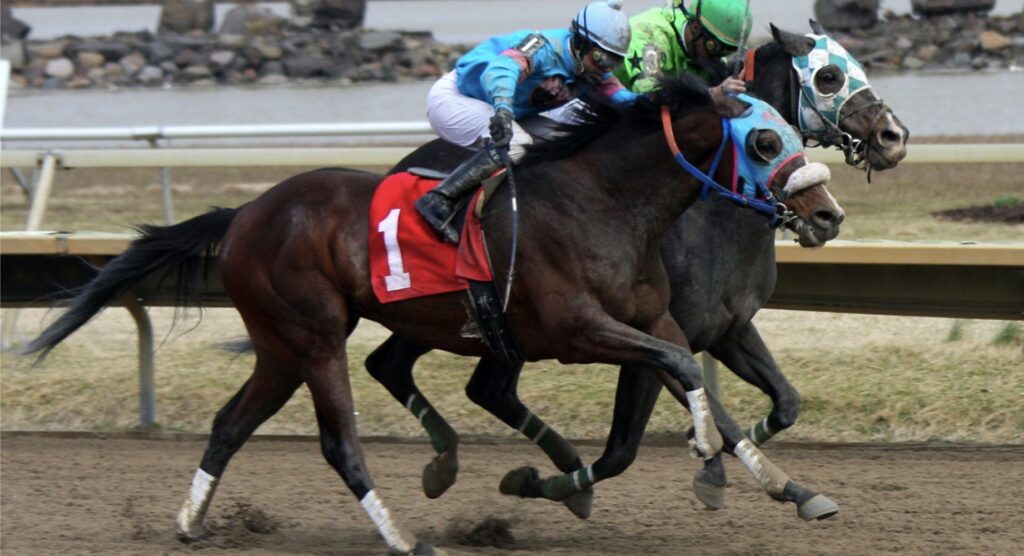 Horse racing at Delaware Park