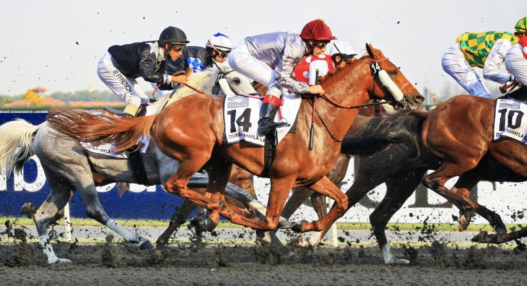 Horses racing during Dubai World Cup