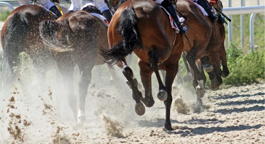 Rear view of horse's running during race