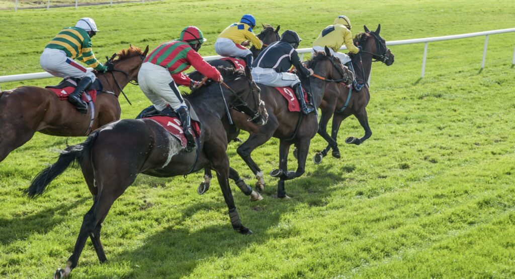 Five horses running during a race