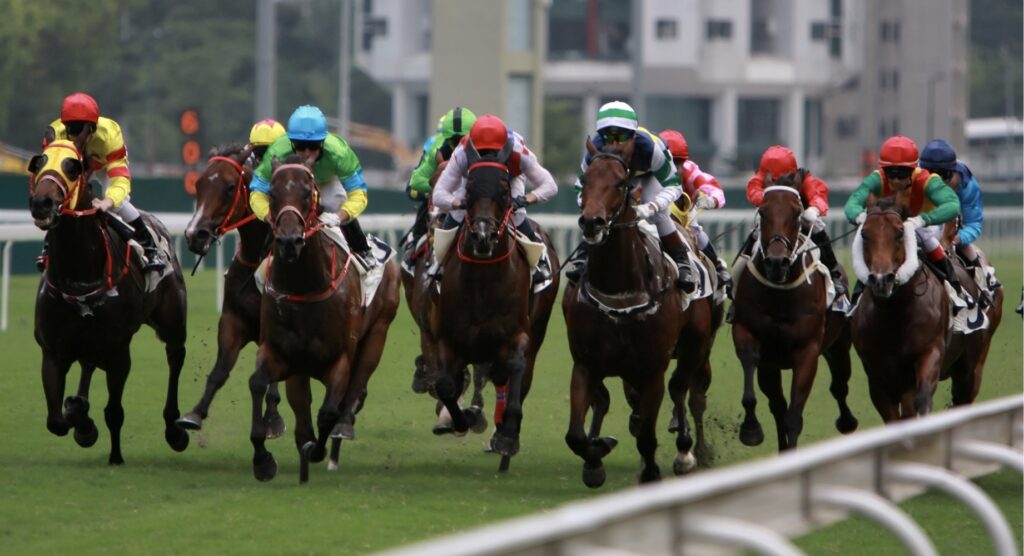 Horse race at Happy Valley Racecourse