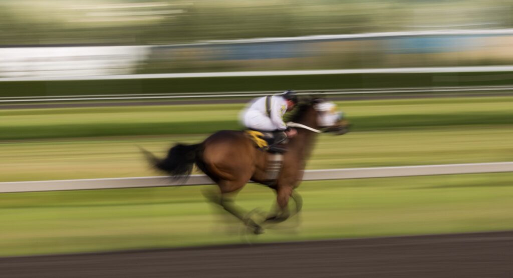 Blurred image of racehorse running