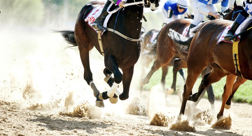 Horses racing on dirt track