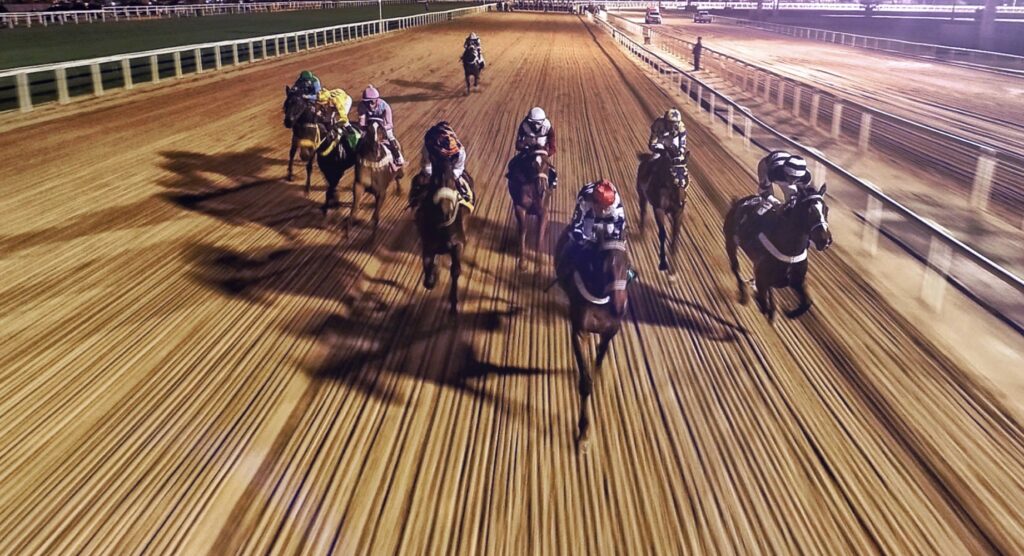 Front view of horses during flat race