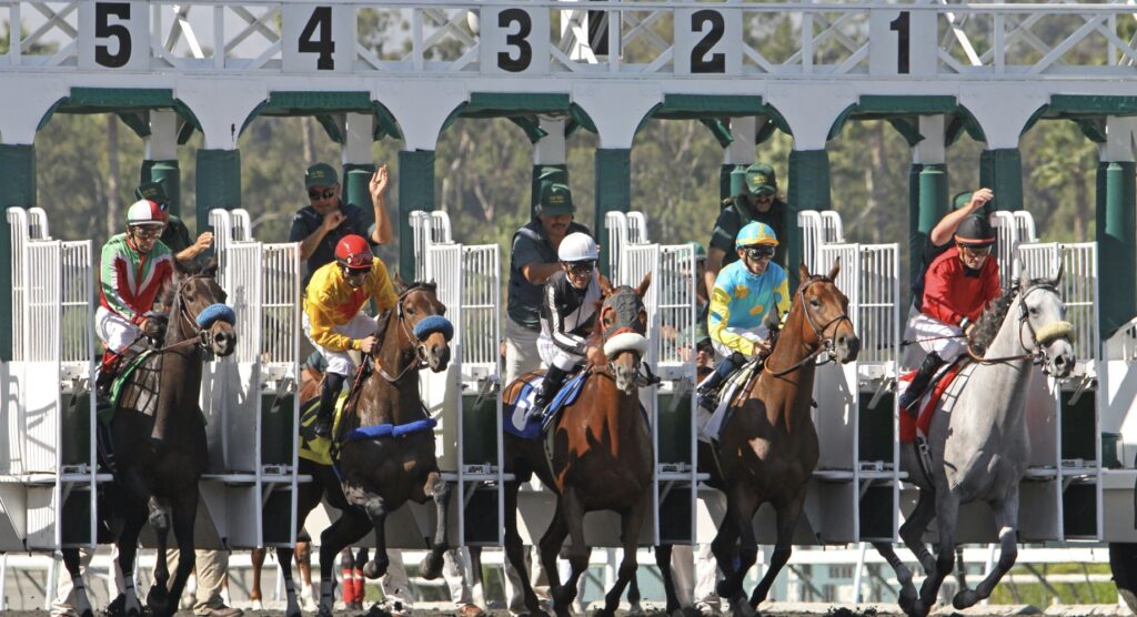 Horses starting a race from the stalls