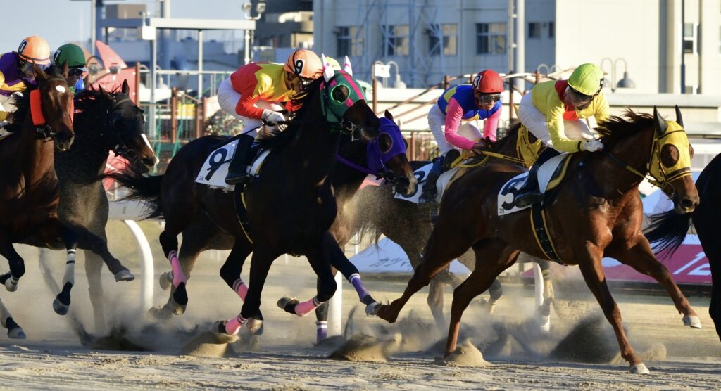 Horses sprinting during Japan Cup