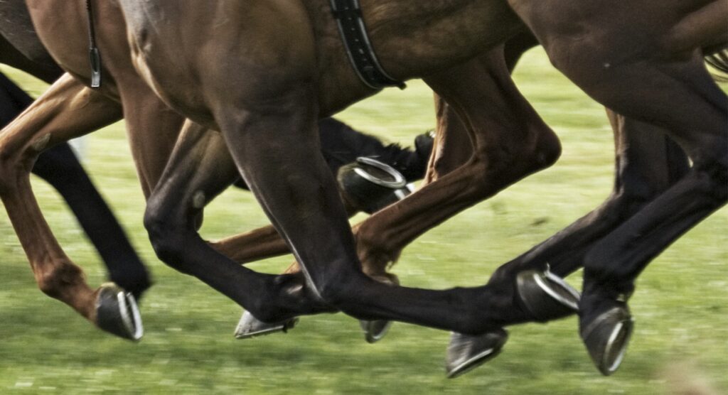 Close-up of horses sprinting during race