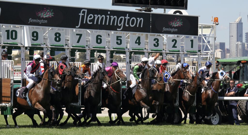 Horses bolting from the gate during Melbourne Cup