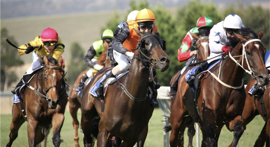 Horses racing during Melbourne Cup